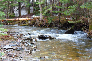 030-Coon Brook opening.jpg