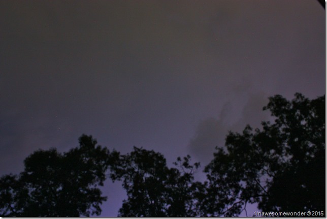058 Lightning lights up behind the trees