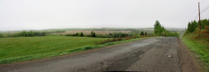 Looking north towards the homestead and Uncle Lloyd's farm.
