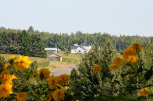 IMG_9655_1.jpg