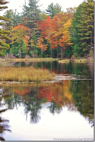 Flood of color