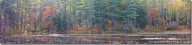 Mill Pond Color