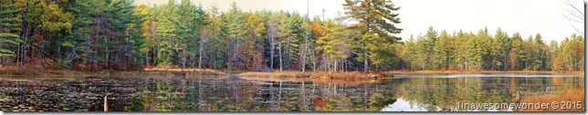 Mill Pond Peace