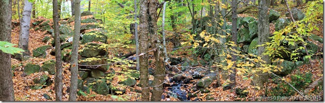 Old mill site