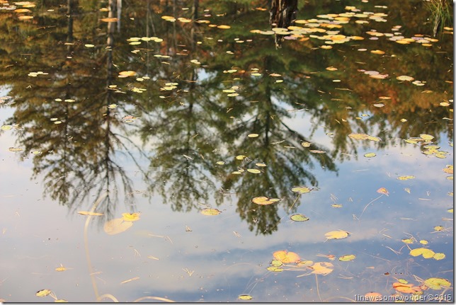 Reflection upside down