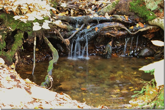 Water fraction