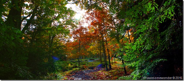 Colors close to the top