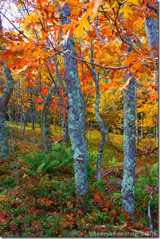 Depth of color inspire the climb