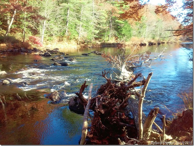 Piscataquog 1