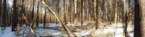 20160105_132143.jpg