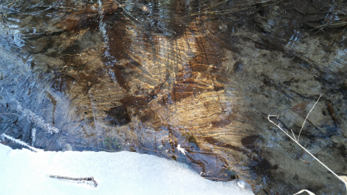 20160105_133155.jpg
