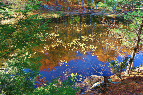 A great place to reflect