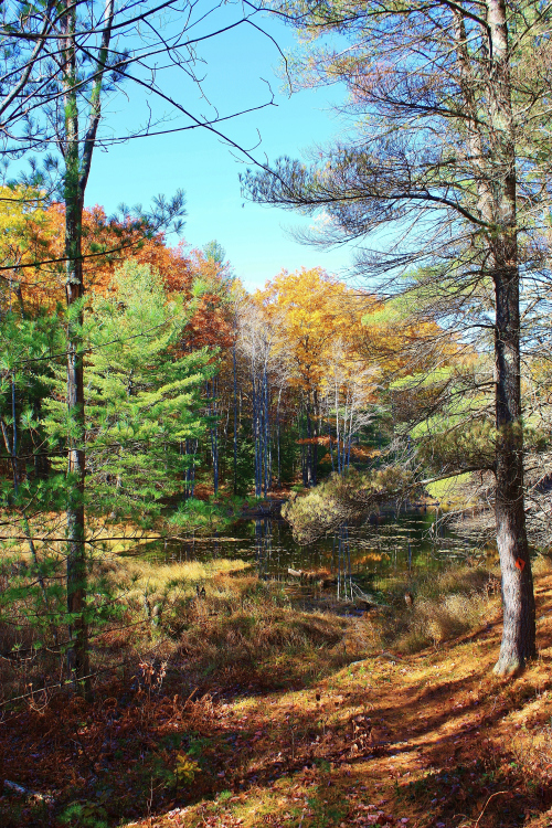 Coming in to Lost Lake.