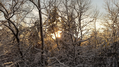 By late afternoon the sun made an appearance so we could see it set. The bright, yellowish glow on the white coated trees was a sight to see.