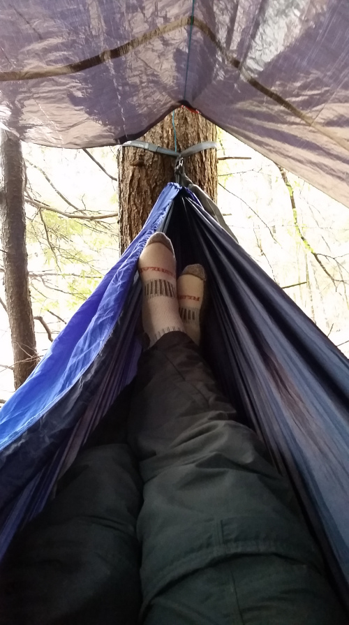 20160315_160608.jpg
