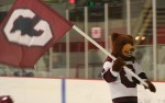 quarter finals bear