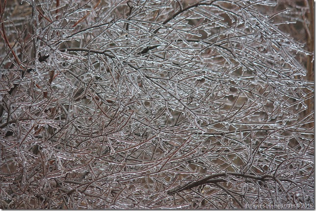 icy grip