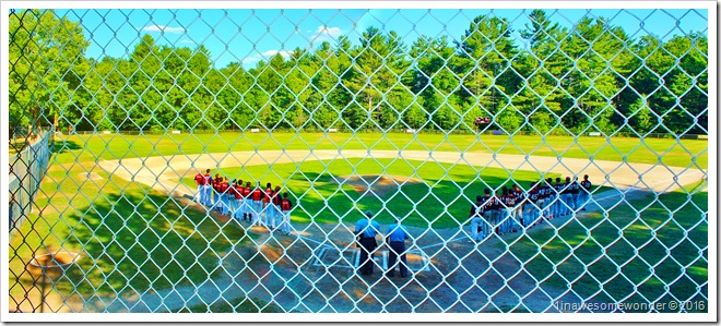 Allard Park - 2016 Districts Game 10