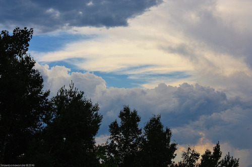 Sky-over-Salmon-Stream.jpg