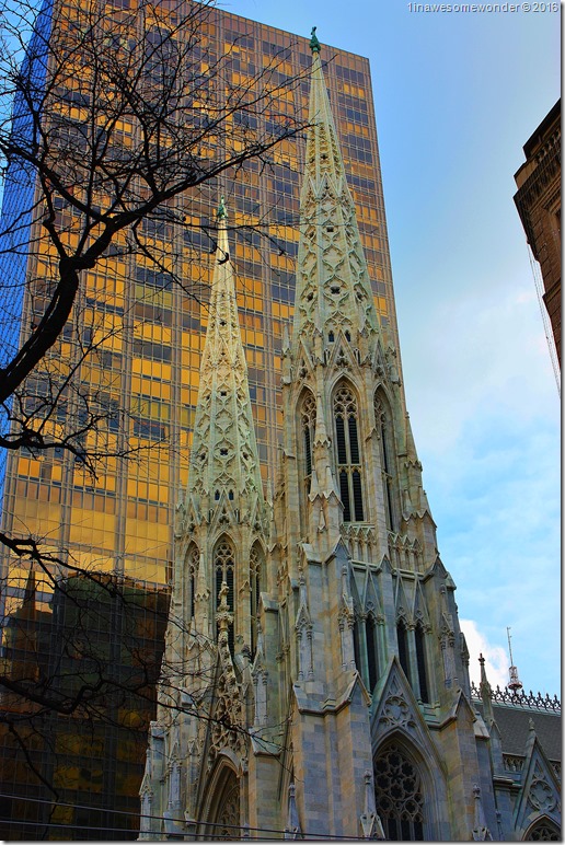 nyc16 (11)