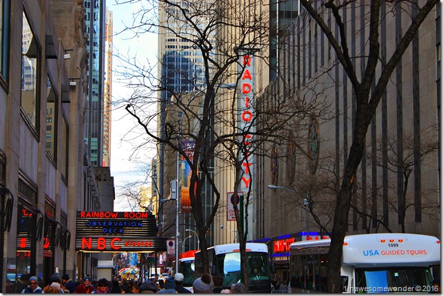 nyc16 (3)