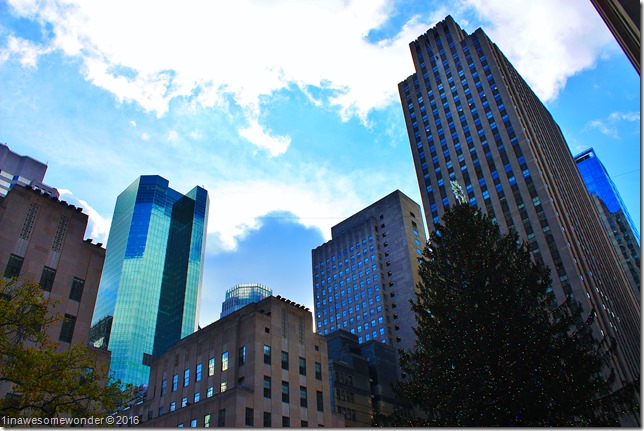 nyc16 (4)