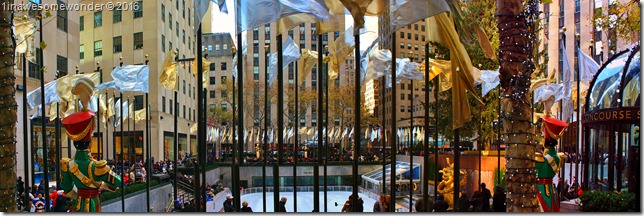 nyc16 (5)