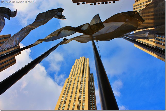 nyc16 (9)