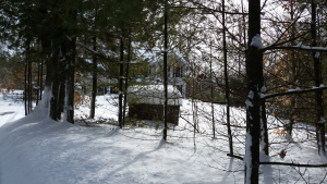 wp-1487006783699.jpg