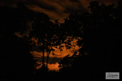 Huddled In The Dark