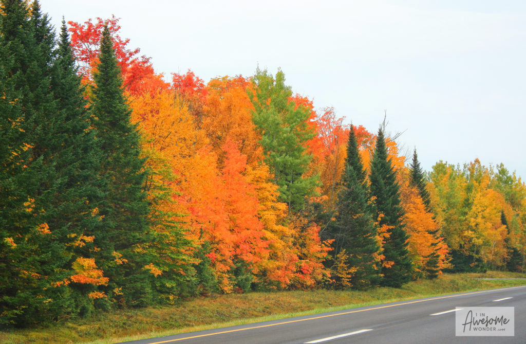 Northern Maine along I-95