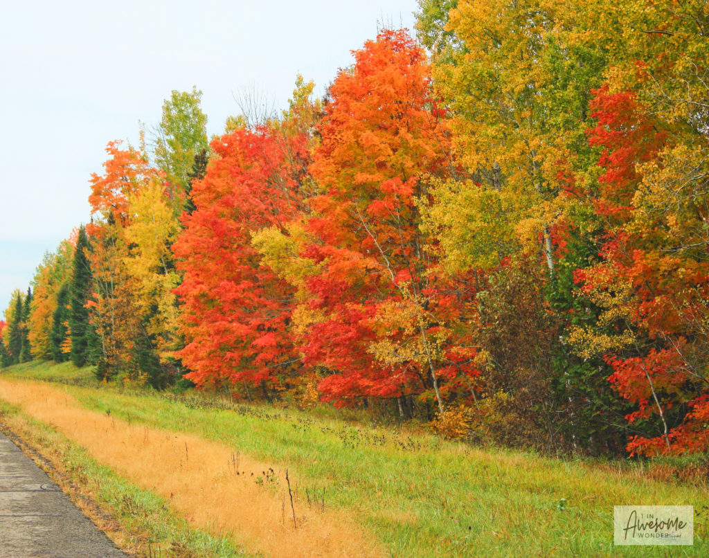 Northern Maine along I-95