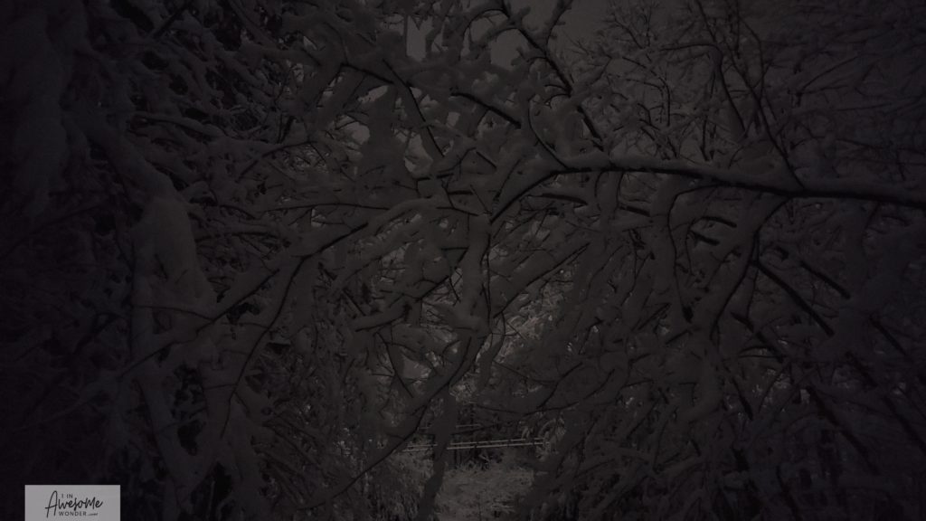 Silent Night