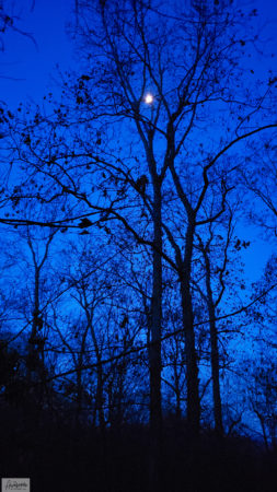 Huddled In The Dark