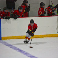 There is curling in hockey