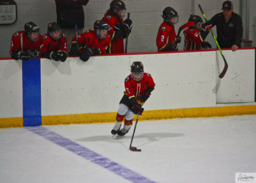There is curling in hockey