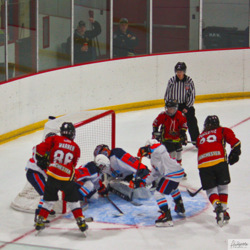 In the crease or in the net