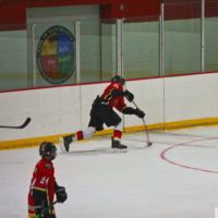 How much does a stick flex