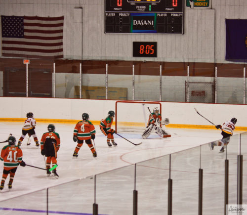 Shot on goal