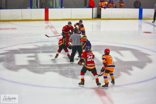 click to enlarge Back to Back, Winter Classic NH