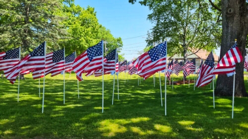 Field of Flags