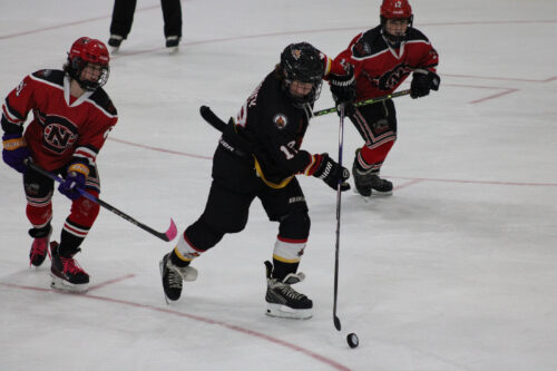 2023-2024 Flames Profiles