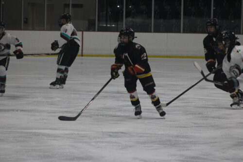 2023-2024 Flames Profiles