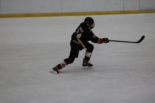 2023-2024 Flames Profiles