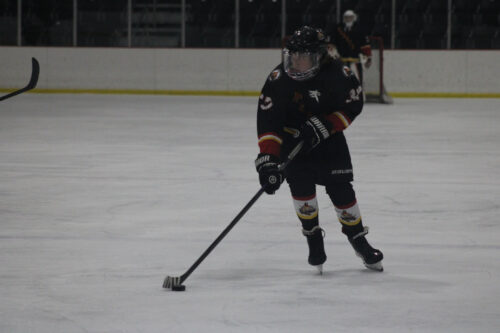 2023-2024 Flames Profiles