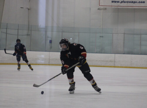 2023-2024 Flames Profiles