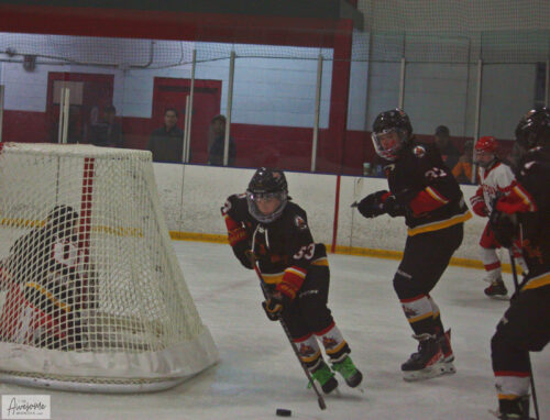 2023-2024 Flames Profiles