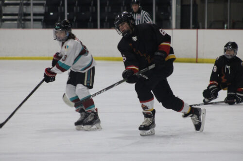 2023-2024 Flames Profiles