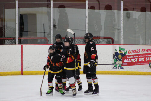 Lots of hockey