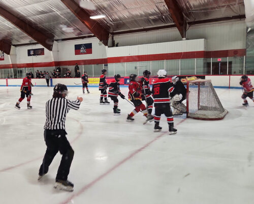 Lots of hockey